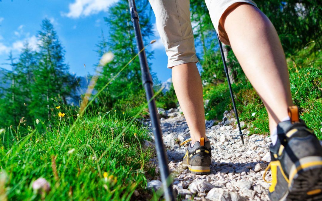 Escursioni Trekking al Montalbo